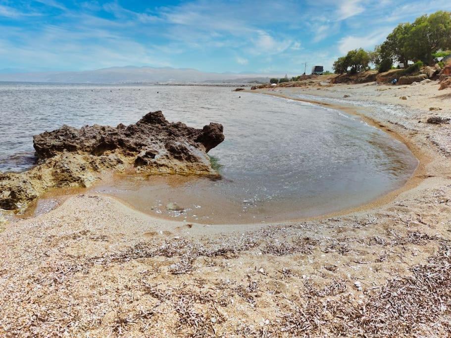 基帕里夏Στούντιο Σε Πέτρινο Σπίτι, Κοντά Σε Παραλία公寓 外观 照片