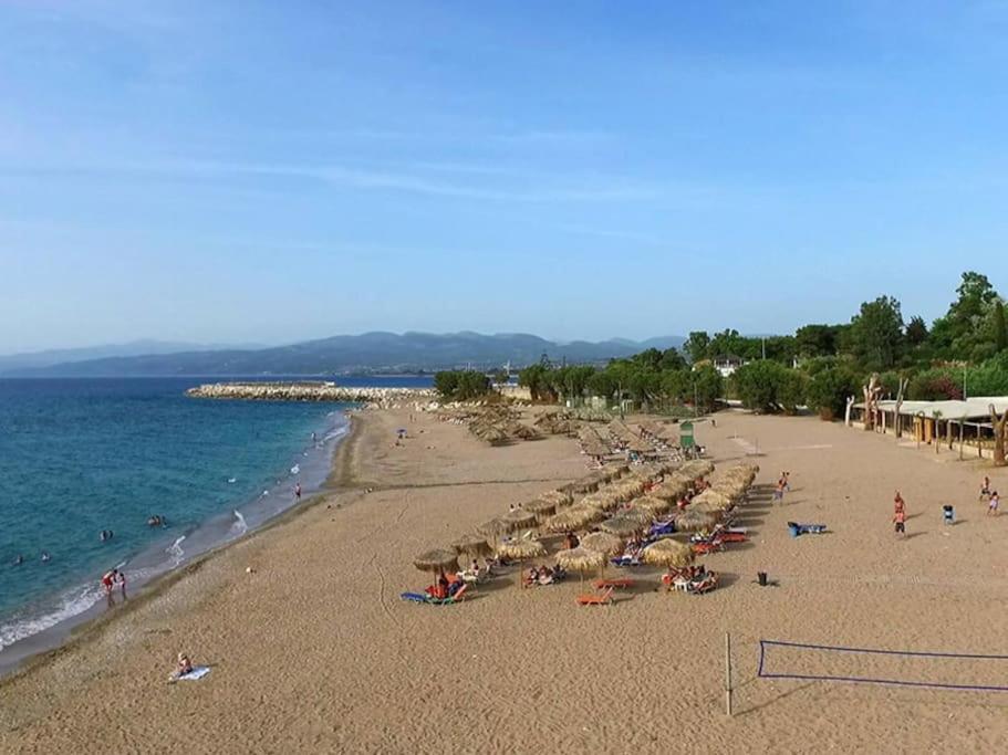 基帕里夏Στούντιο Σε Πέτρινο Σπίτι, Κοντά Σε Παραλία公寓 外观 照片